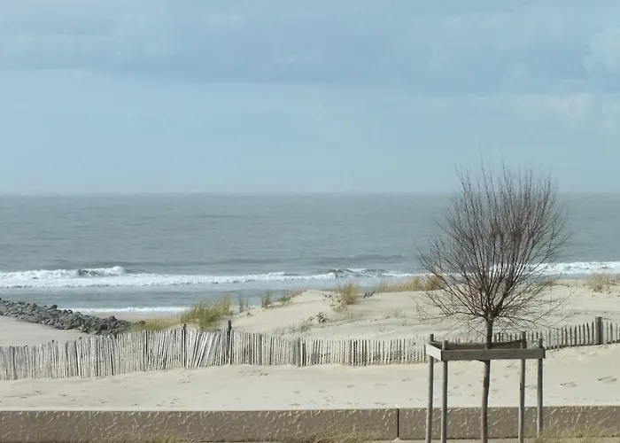 Appartement Face A L\'Ocean